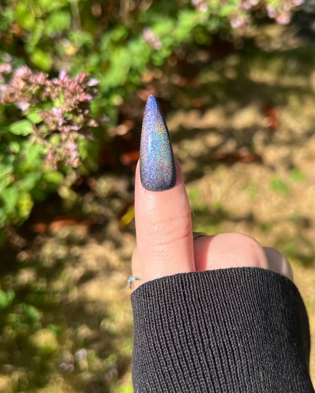 Hōō (holo-magnetic)