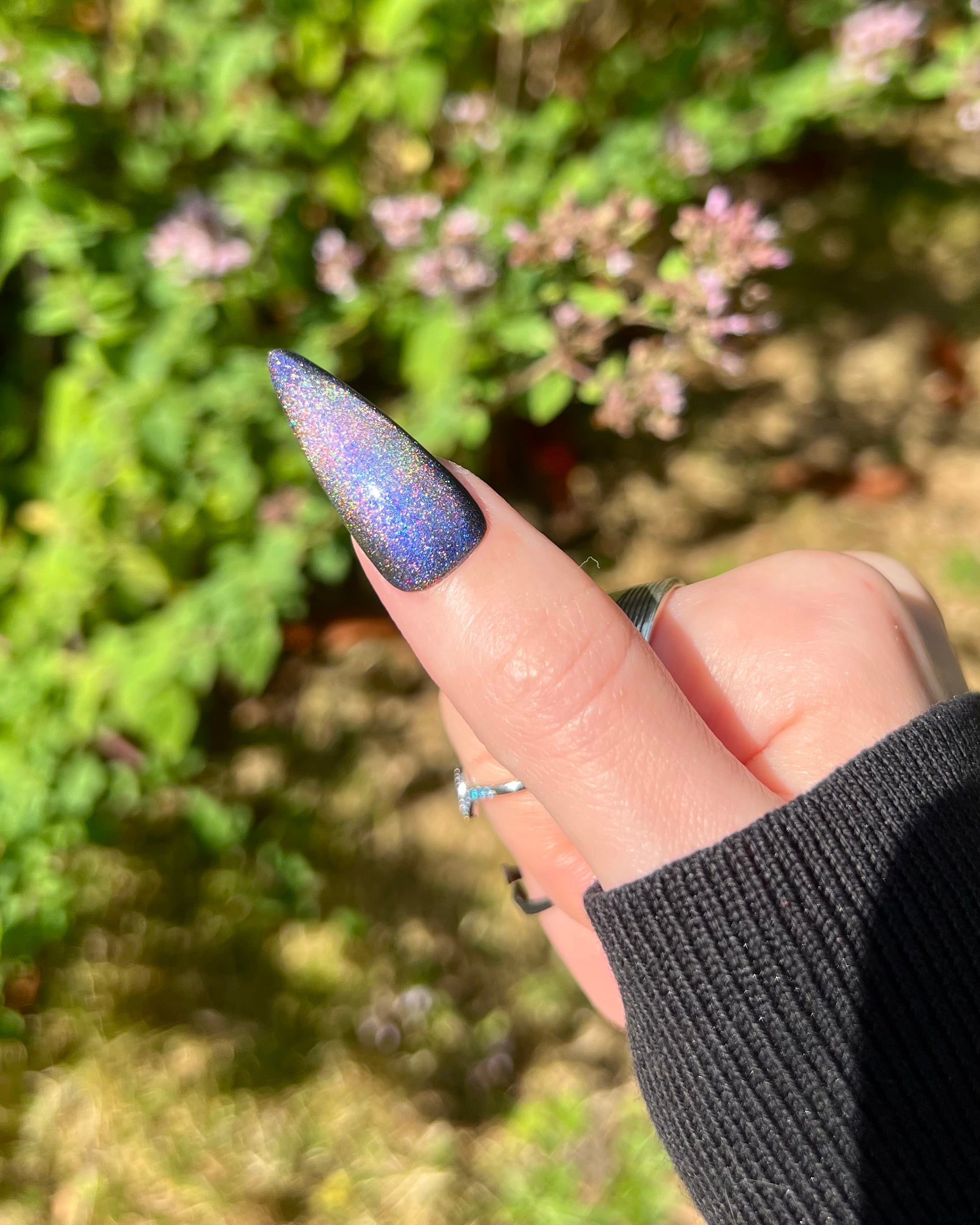 Hōō (holo-magnetic)