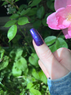 Firefly
