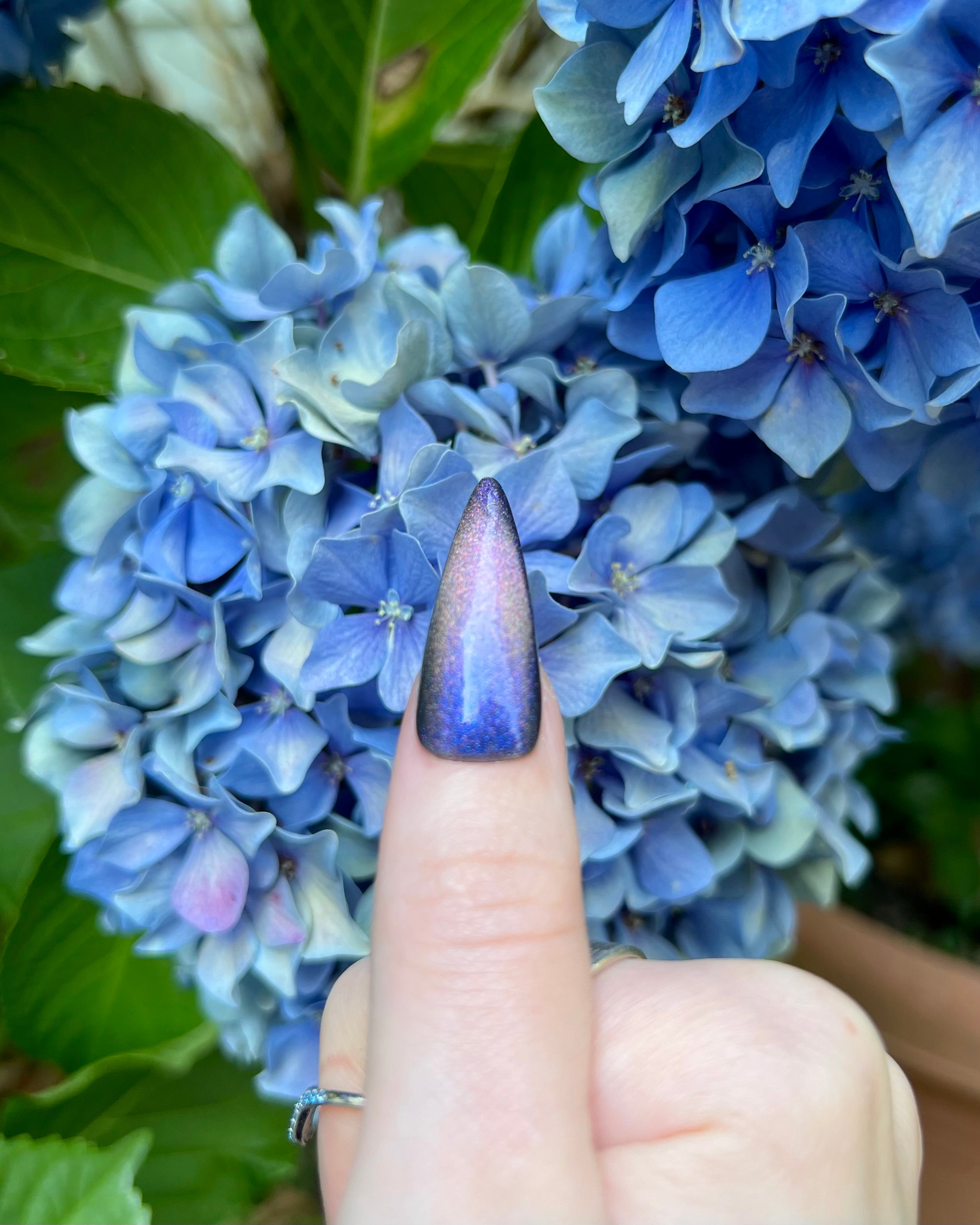 Hōō (holo-magnetic)