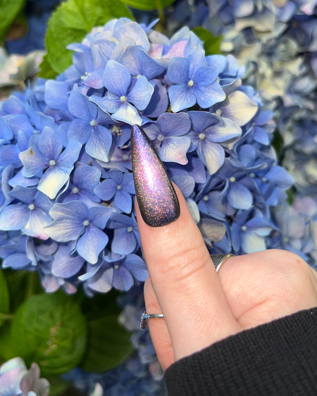Hōō (holo-magnetic)