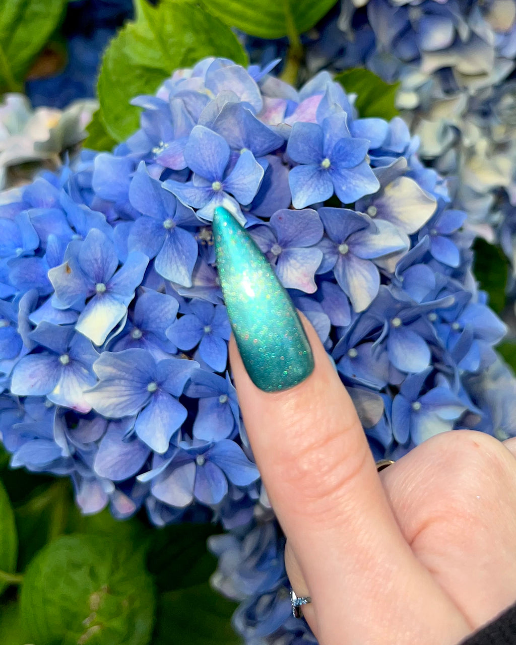 Kuzuryū (holo-magnetic)