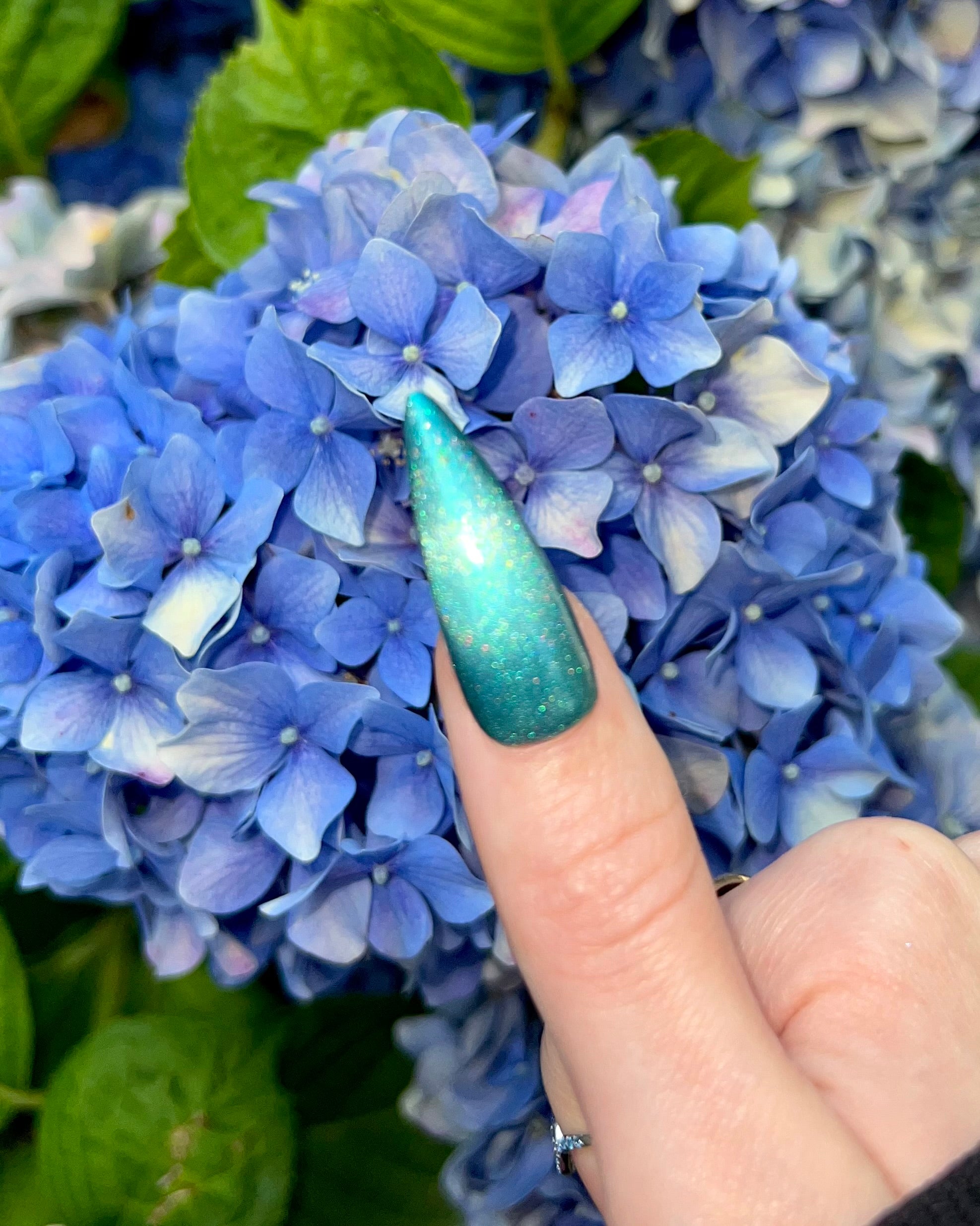 Kuzuryū (holo-magnetic)