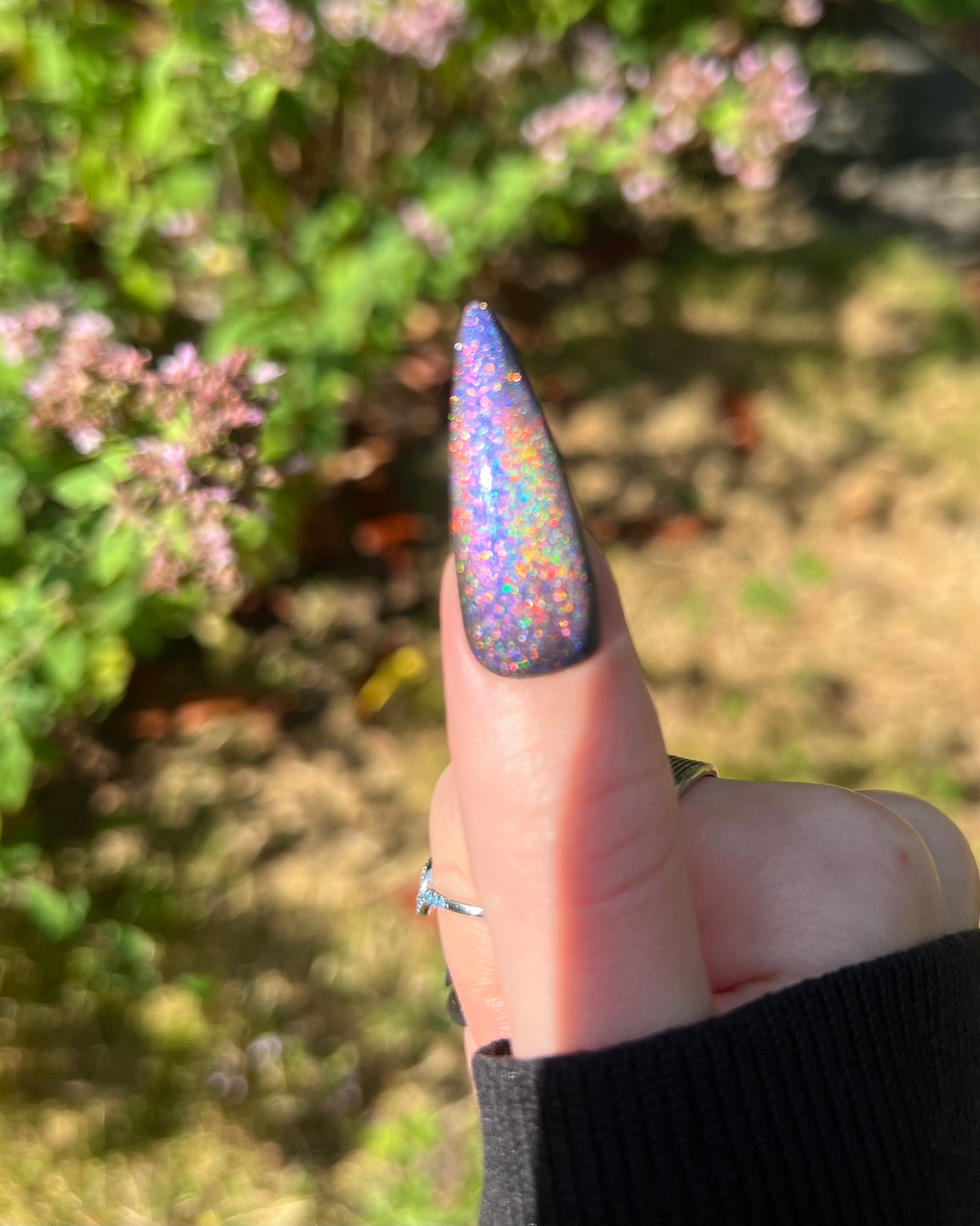 Hōō (holo-magnetic)