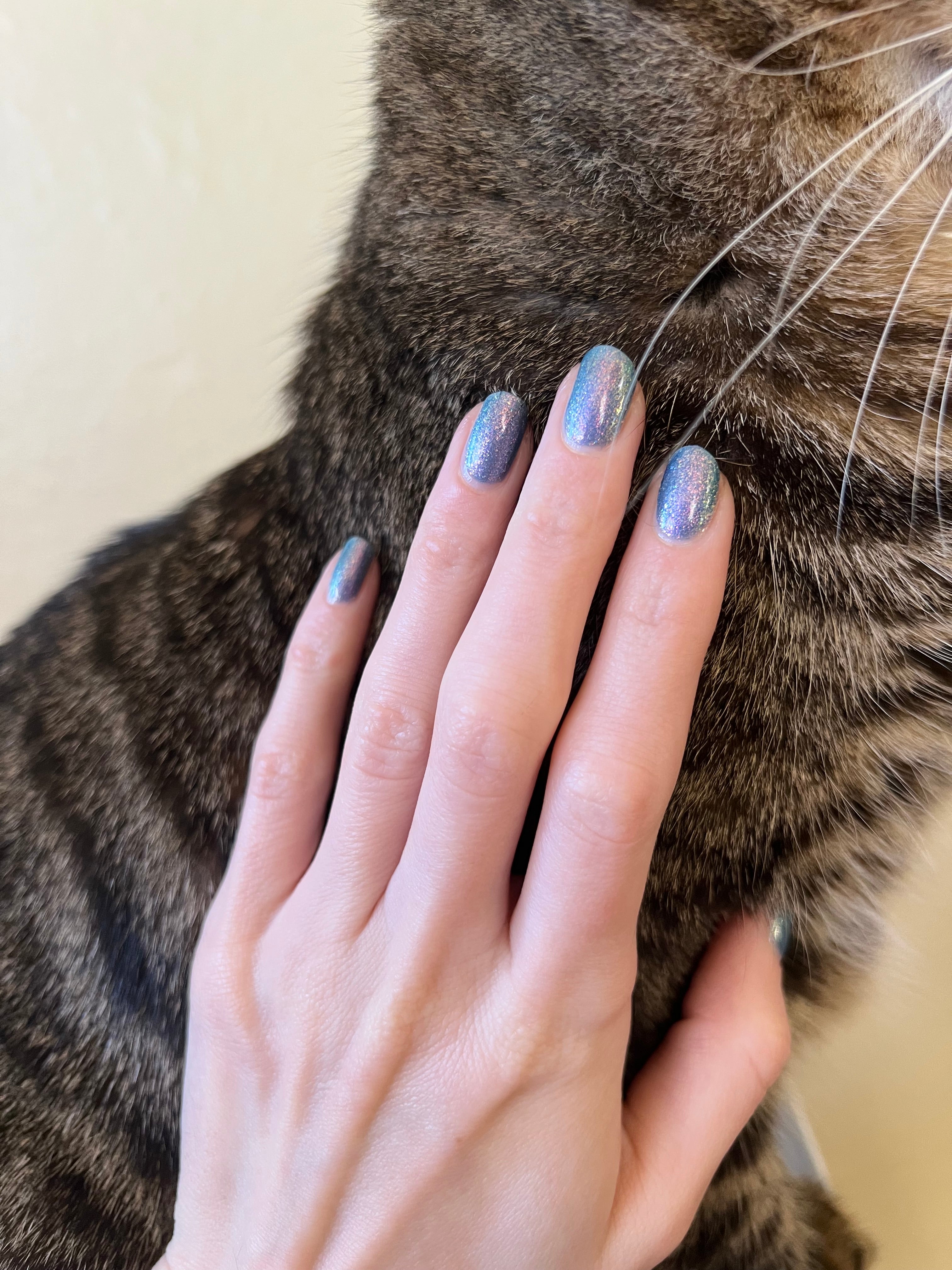 Sun Song - charity polish for NAYA