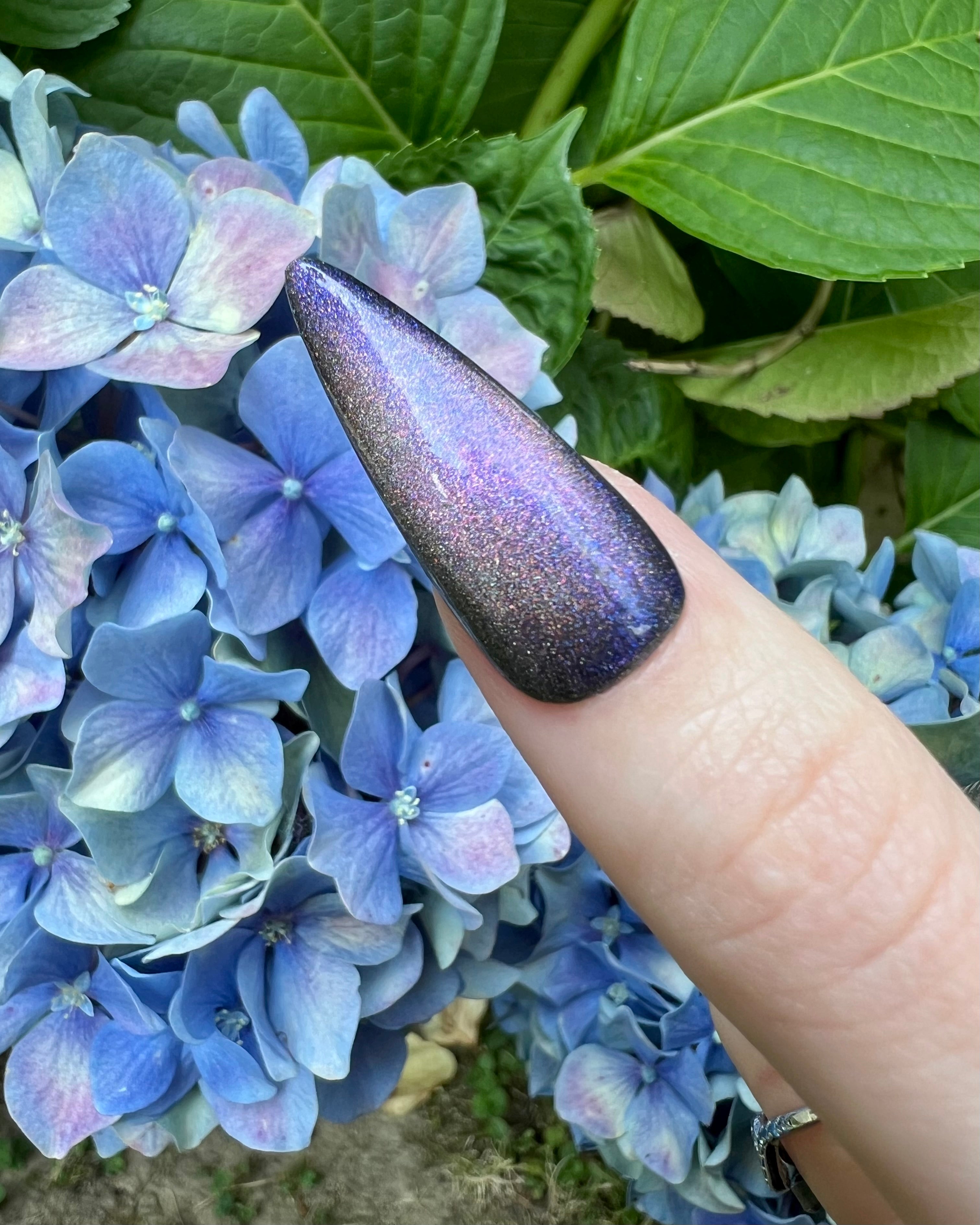 Hōō (holo-magnetic)