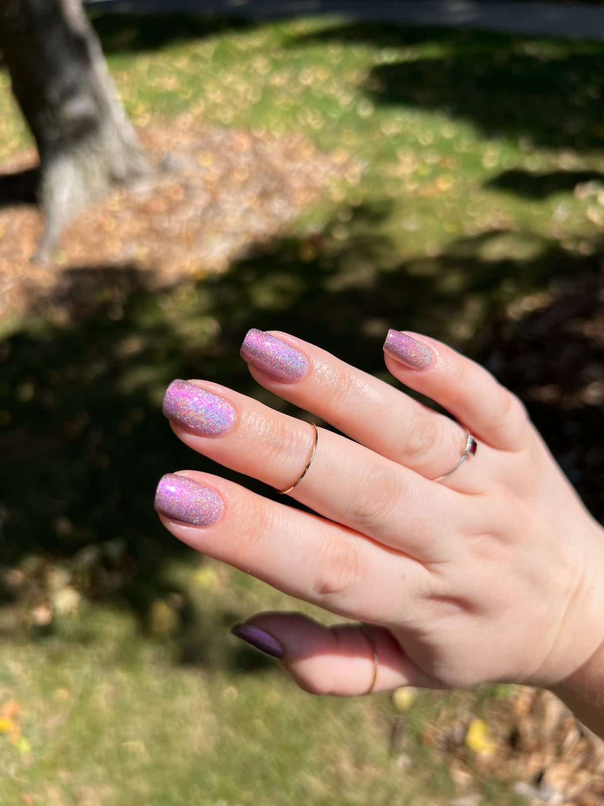 Qilin (holo-magnetic) PREORDER: 4-6 weeks