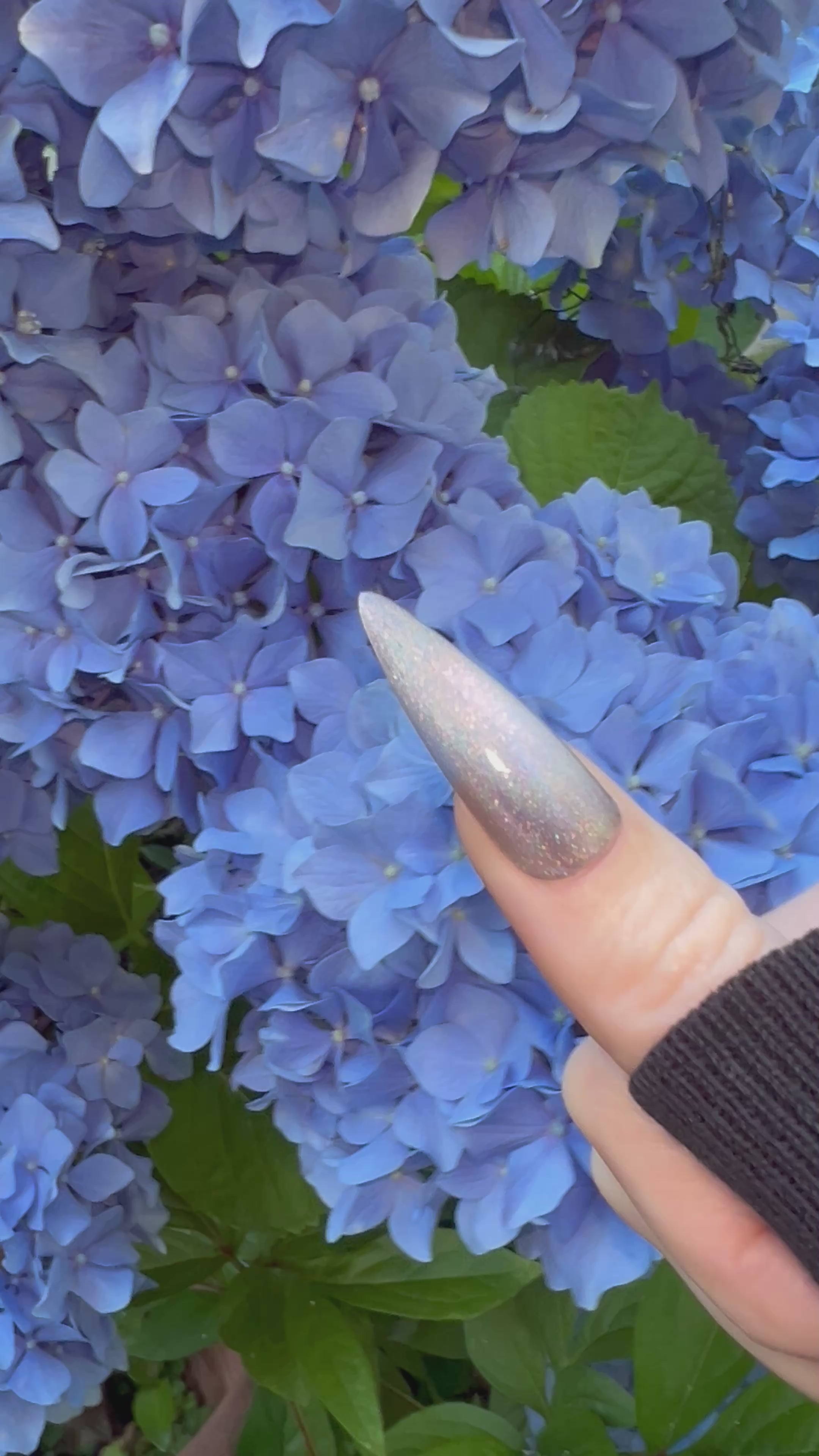 Dakini (holo-magnetic)
