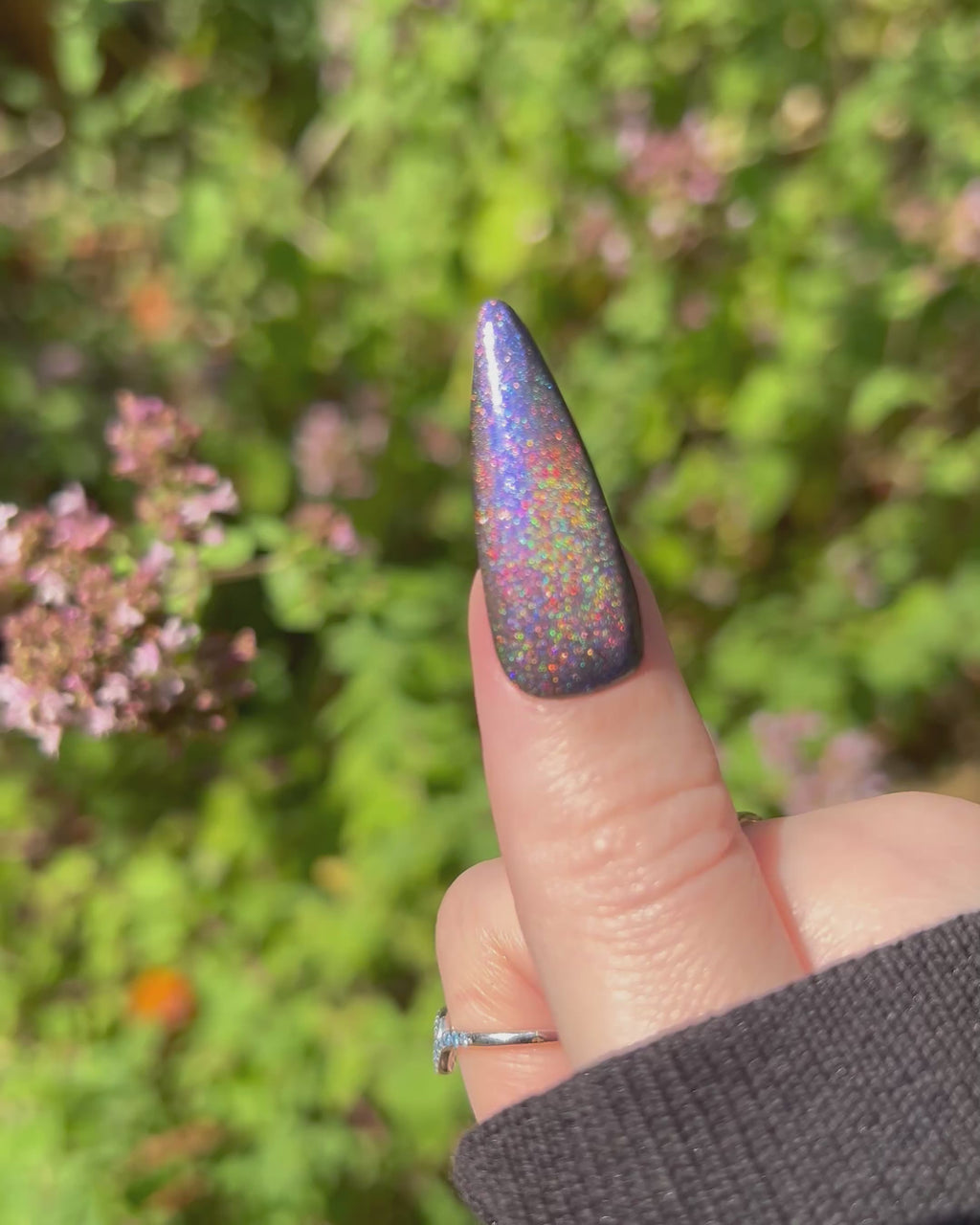 Hōō (holo-magnetic)