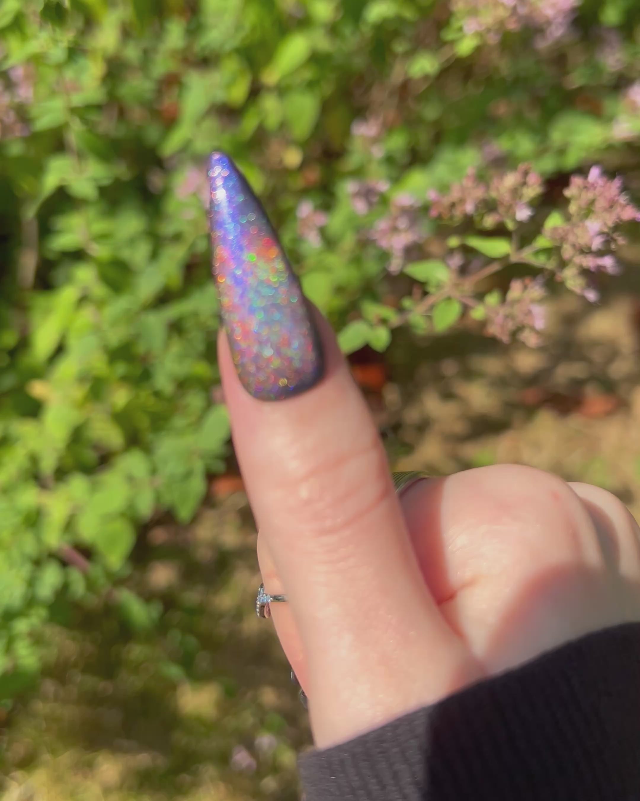 Hōō (holo-magnetic)