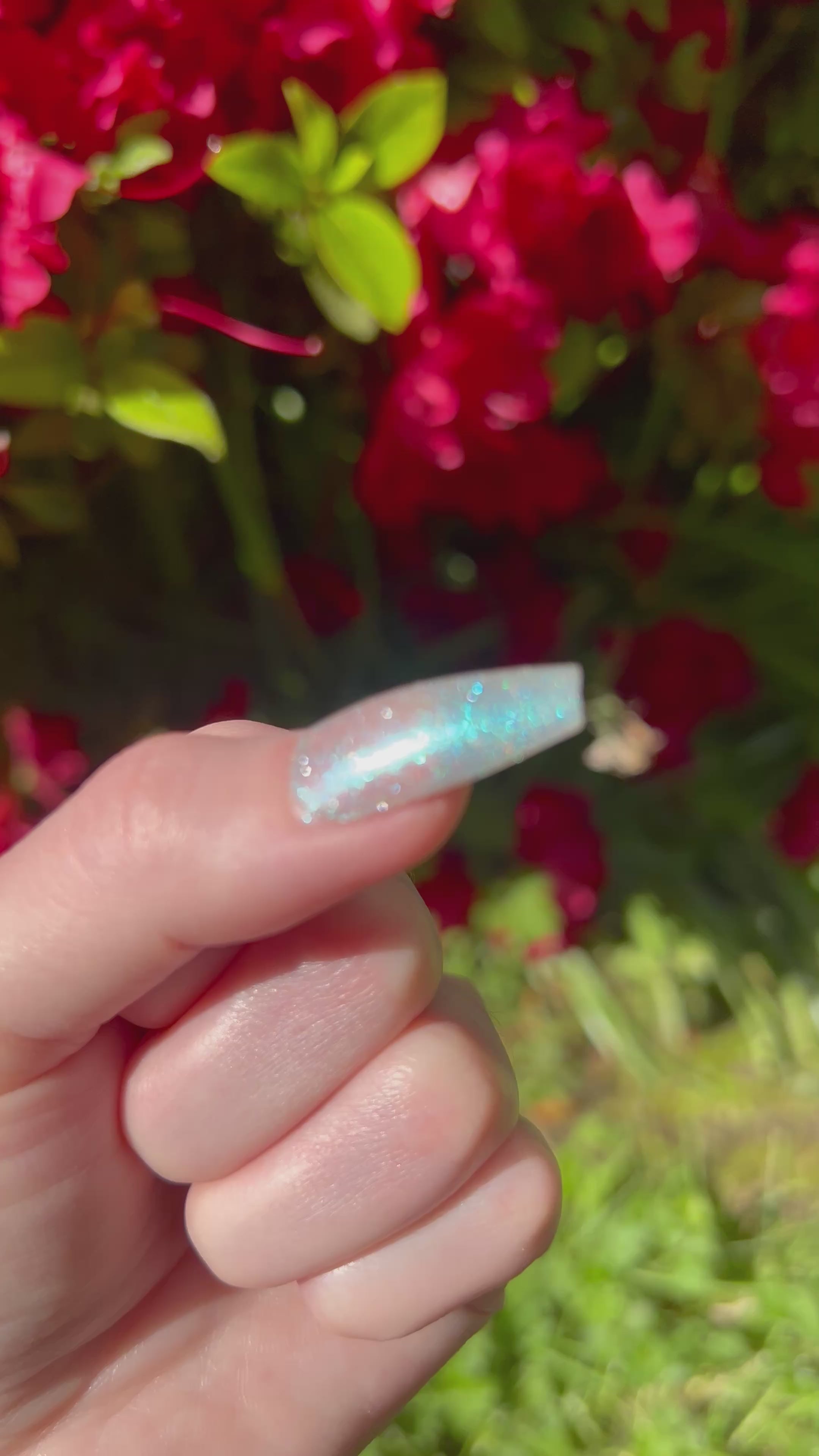 Our Blue (blue shimmer topper)